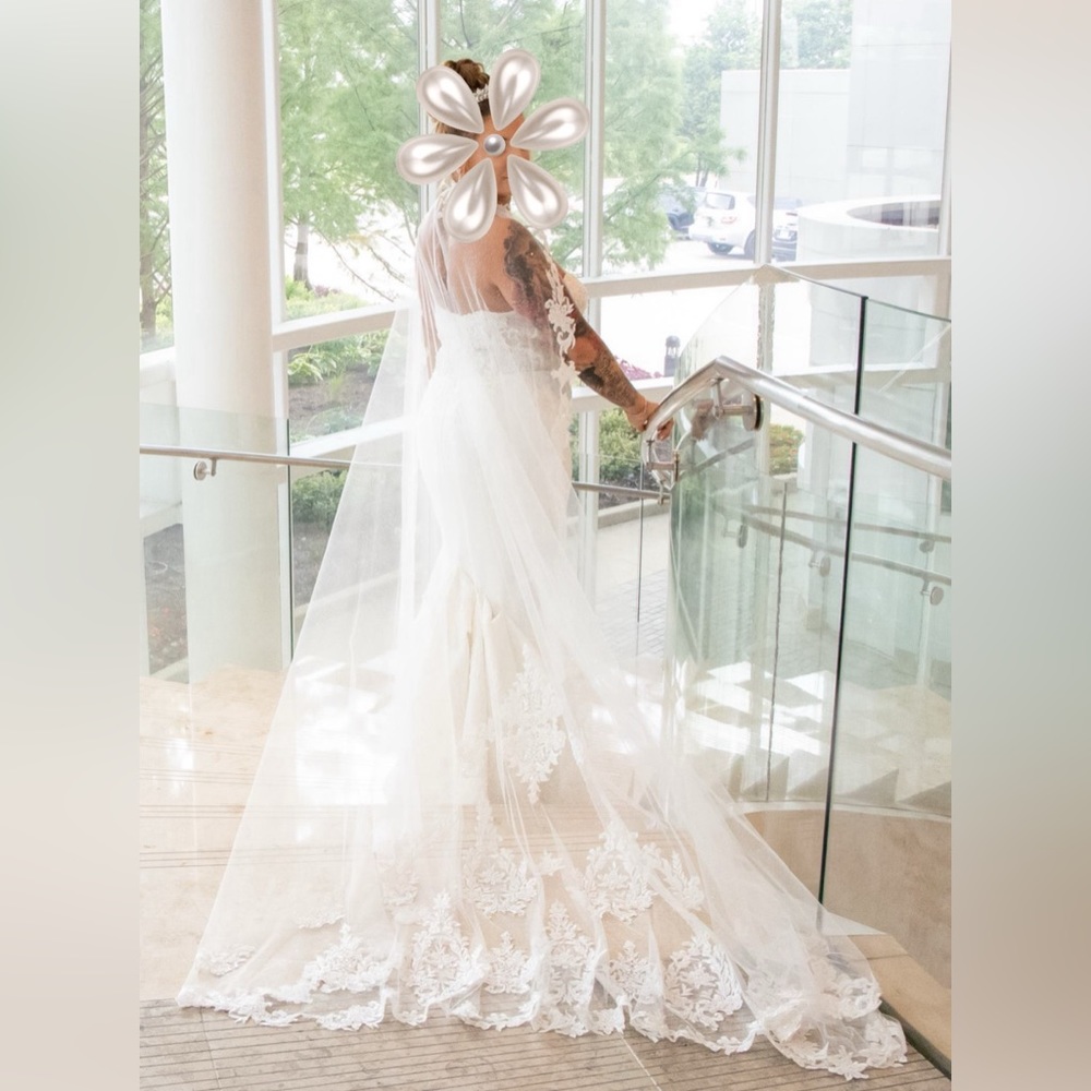 Wedding dress & veil